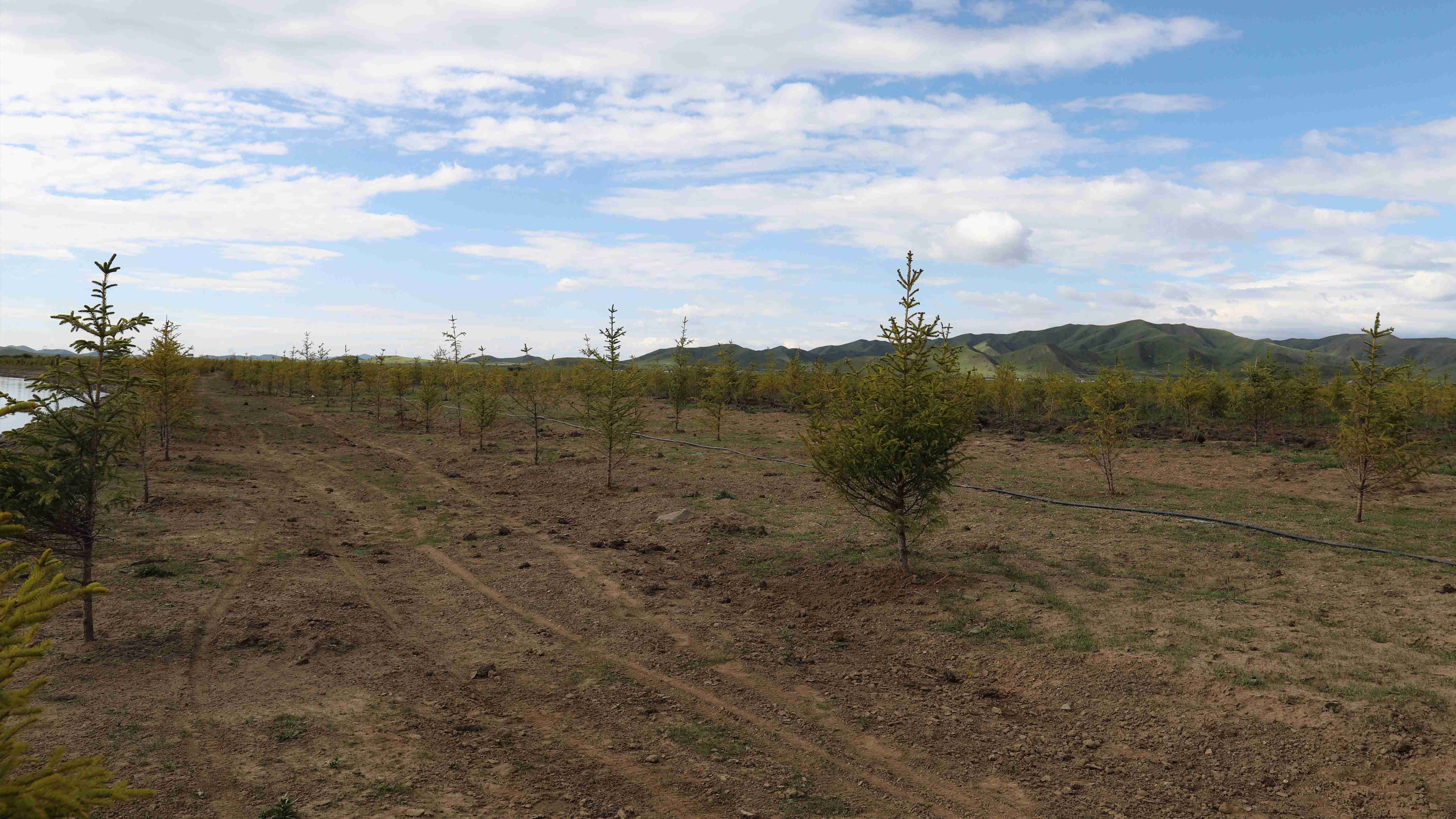 嚴守工程質(zhì)量，筑牢生態(tài)屏障